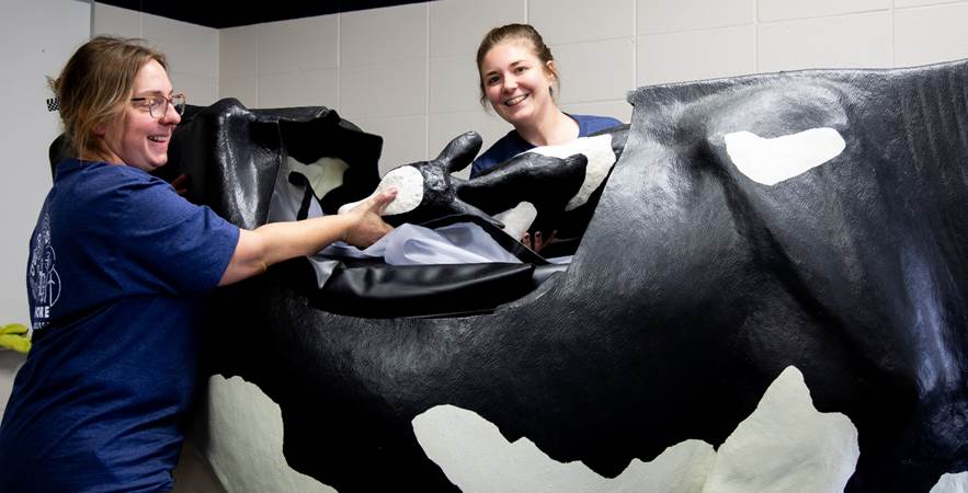 Agribusiness Science and Dairy Management Instructors Megan Kulow and Lyndsay Burmesch enjoy hands-on teaching at Lakeshore College.