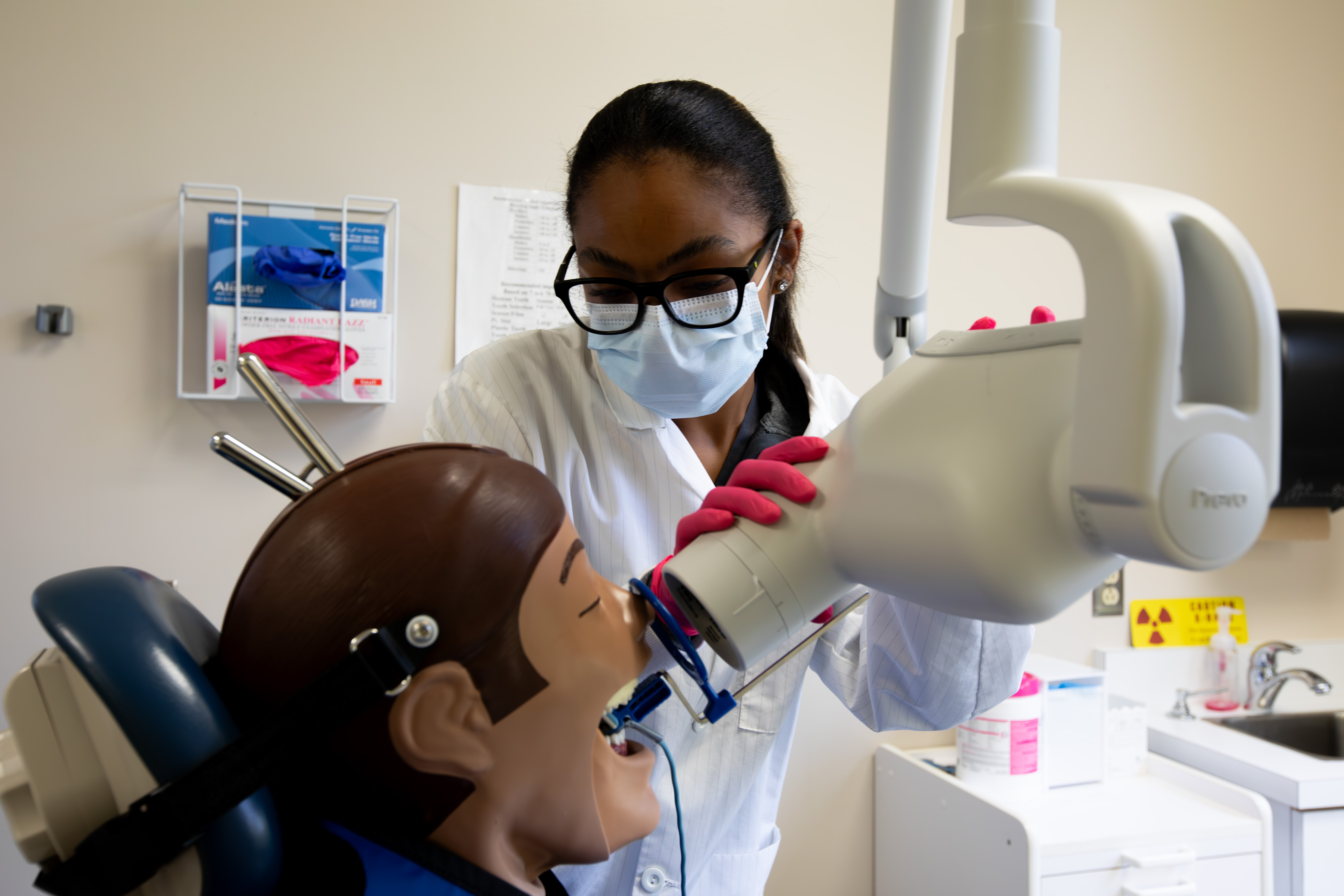 Dental Student interacting with some dental tools 