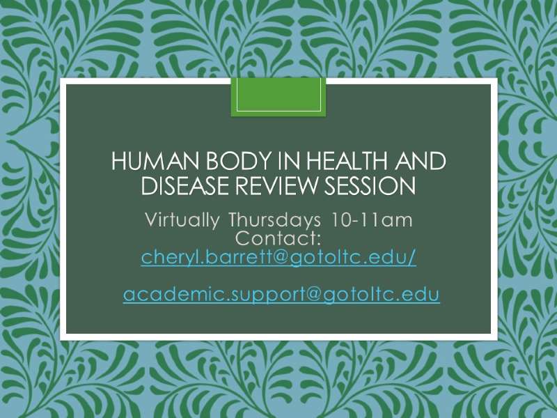 Human Body Review Session