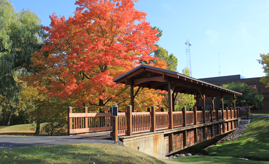 LTC Bridge Fall