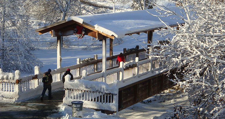 LTC Bridge in Winter