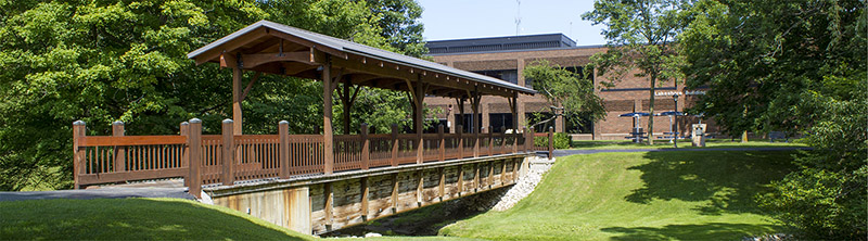 LTC's Wooden Bridge